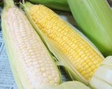 実がシワにならない！とうもろこしの茹で方作り方4写真