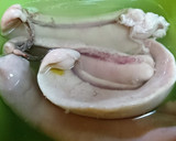 旬★ふわふわ【白子とワカメの酢醤油浸し】作り方3写真