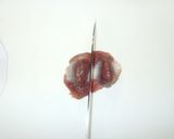 砂肝の簡単甘辛煮♪にんにく・生姜・玉ねぎ作り方2写真