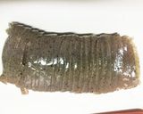 簡単10分◎ヘルシーこんにゃくピリ辛炒め作り方1写真