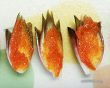 みょうがのめんたいマヨ焼き作り方3写真