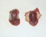 砂肝の簡単甘辛煮♪にんにく・生姜・玉ねぎ作り方5写真