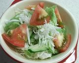 マジョラム風味　塩そぼろサラダ作り方5写真