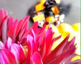 こね時間1分★ちぎりかぼちゃクリームパン作り方24写真