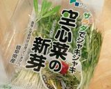 豚肉のニンニク醤油炒め～コスパ重視！作り方1写真