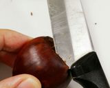 時間と根性とやる気‼生栗の剥き方作り方3写真