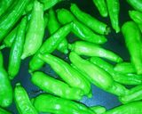作り置き＊ししとうとすだちの味噌炒め作り方5写真