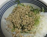ベジタリアンおネギの混ぜ御飯作り方3写真