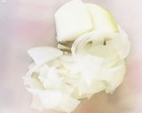 ツナと玉ねぎの春巻き作り方1写真