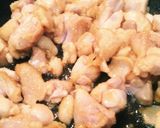 鶏肉のカシューナッツ炒め　砂糖不使用作り方5写真