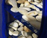 鶏肉と干しエリンギの中華風塩炒め作り方3写真