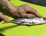 初心者のための鯵のたたき~おろし方から~作り方2写真