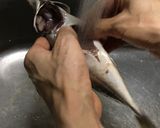 初心者のための鯵のたたき~おろし方から~作り方3写真