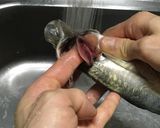 初心者のための鯵のたたき~おろし方から~作り方4写真