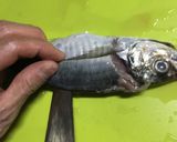 初心者のための鯵のたたき~おろし方から~作り方7写真