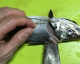 初心者のための鯵のたたき~おろし方から~作り方6写真