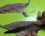 初心者のための鯵のたたき~おろし方から~作り方11写真