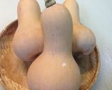 皮むき簡単バターナッツカボチャスープ作り方1写真