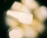 里芋のゴトゴト煮作り方1写真