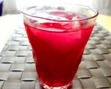 ゆかりジュース作り方4写真