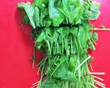 懐かしい味、大根菜の炒めもの作り方1写真