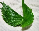 〆さごしのにぎり寿司。作り方8写真