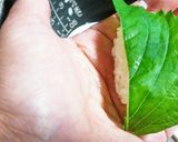 〆さごしのにぎり寿司。作り方11写真