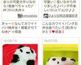 WE❤ PANDA ❤パンダライスボール作り方12写真