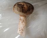 ホオベニシロアシイグチのソテー（珍品料理作り方2写真
