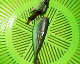 豆アジの唐揚げ作り方1写真