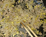 節約おつまみ♡挽き肉＆豆モヤシ炒め作り方3写真