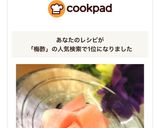 余った梅酢で甘ったるくない新生姜の酢漬け作り方11写真