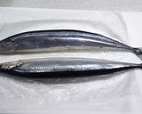 旬サンマの生干し作り方1写真