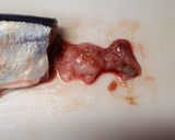 秋の味覚 サンマの塩焼き!!作り方2写真