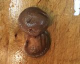 厚揚げと野菜の煮物作り方5写真