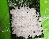 巻きすいらずの昆布チーズの細巻き作り方2写真