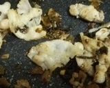 【簡単】豚高菜炒めの粉チーズフリフリ丼作り方1写真