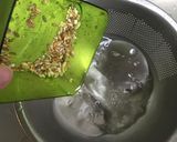 自宅でスプラウト作り方4写真