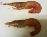 フライパンでパエリア作り方5写真