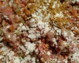 ★コーンと枝豆の★ひき肉カレー★作り方3写真