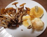 チチアワタケなど3種キノコとネギの味噌汁作り方3写真