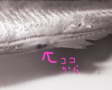 生さんまをワン、ツー、スリー！でさばく！作り方3写真