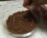 洋菓子細工☆ミミズゼリー(※グロ注意)作り方14写真