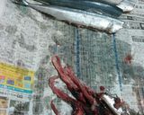 秋刀魚の甘露煮作り方2写真