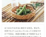 スパイシーレモン枝豆作り方5写真