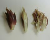爽やかな香りで食欲増進☆みょうが寿し作り方1写真