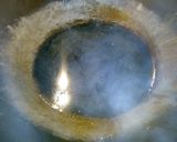 上海風ヘルシー白菜煮作り方3写真