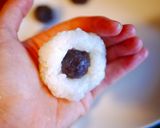 普通のご飯で簡単おはぎの作り方作り方8写真