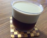1時間でできる2色ゼリー作り方13写真