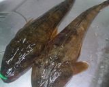 ☆マゴチと枝豆のゼリー寄せ☆作り方1写真